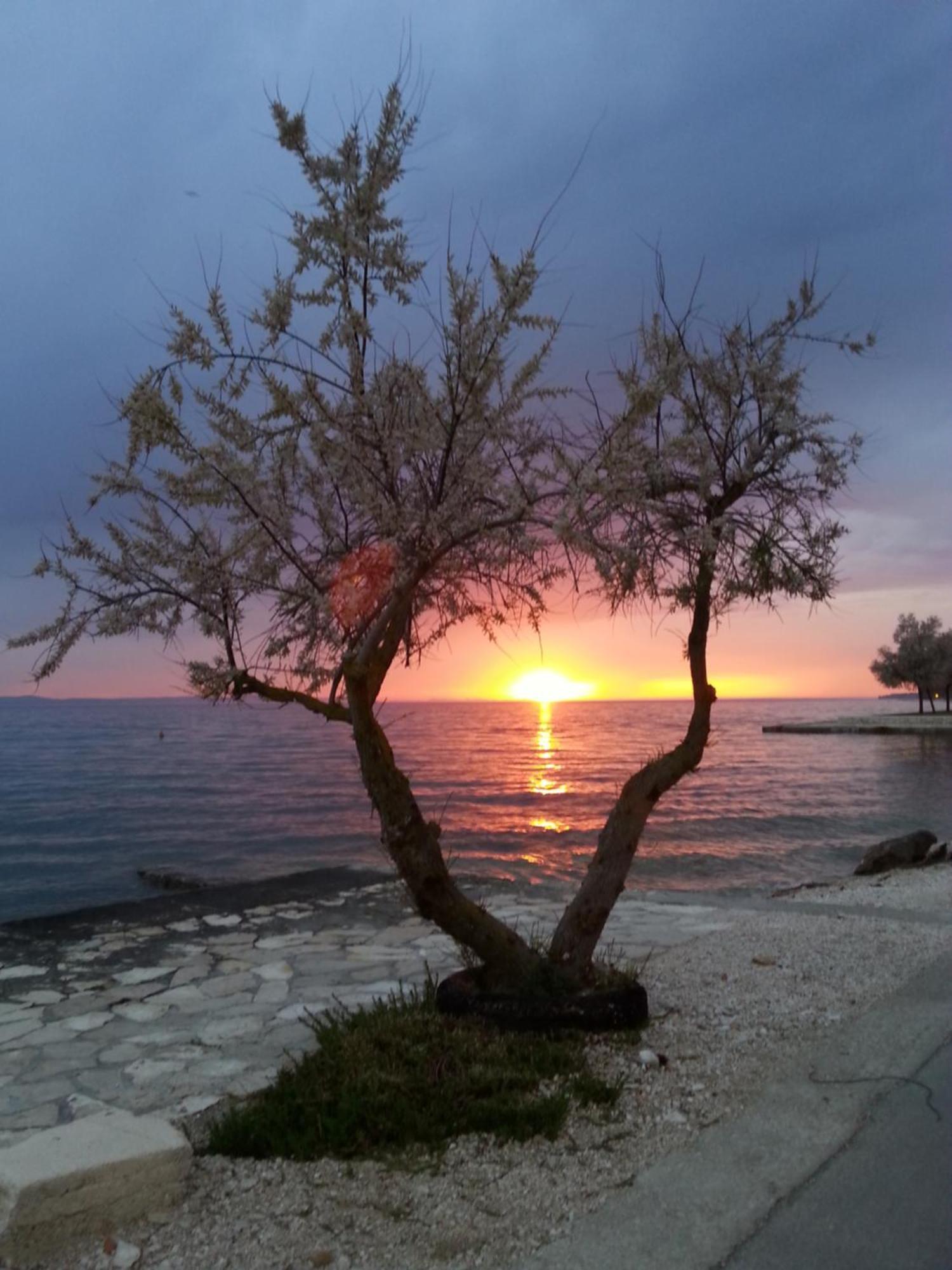 Apartmani Basioli Zadar Exteriör bild